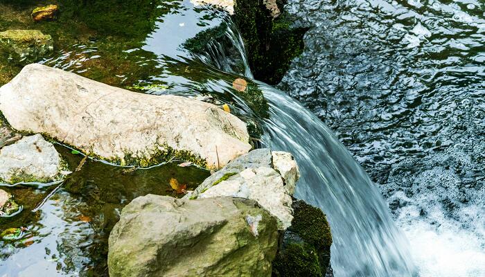 小石潭记的写作特点