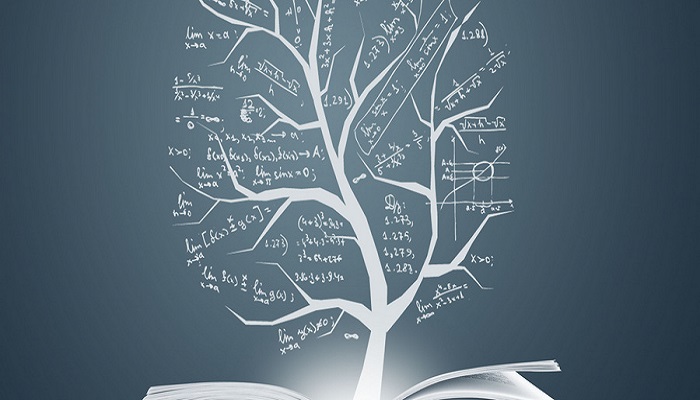 24的因数有什么?