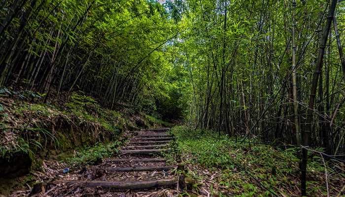 假中对雨呈县中僚友译文