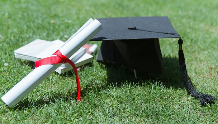 最高学历和最高学位怎么填