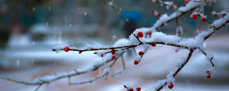 描写雪的古诗有哪些