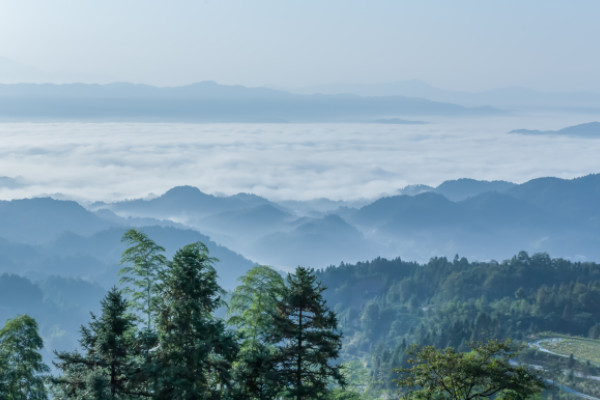 《村居》古诗的意思