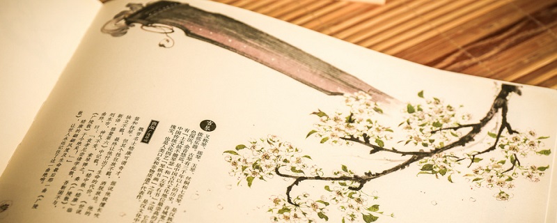 世说新语分为哪三十六门