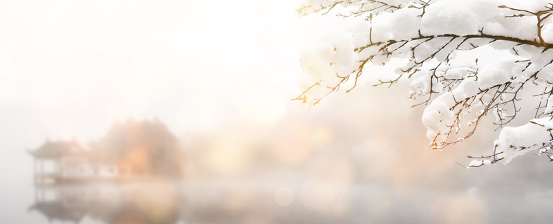 下雪的早晨艾青赏析