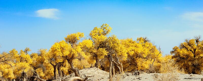 秋天的雨主要讲了什么内容