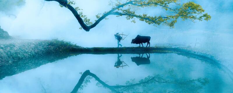 《四时田园杂兴》古诗其一  