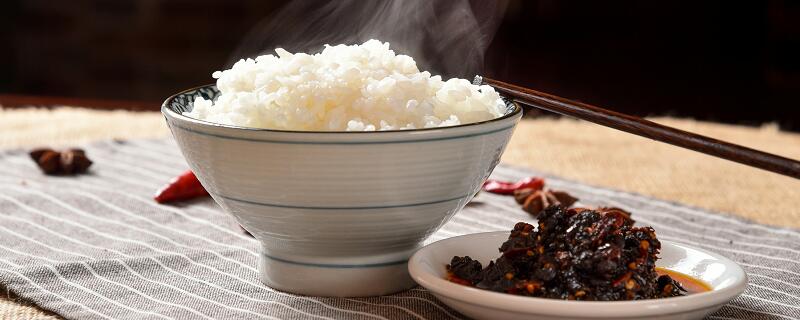 珍惜粮食的宣传标语