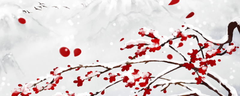 遥知不是雪为有暗香来中指的哪种花的香气