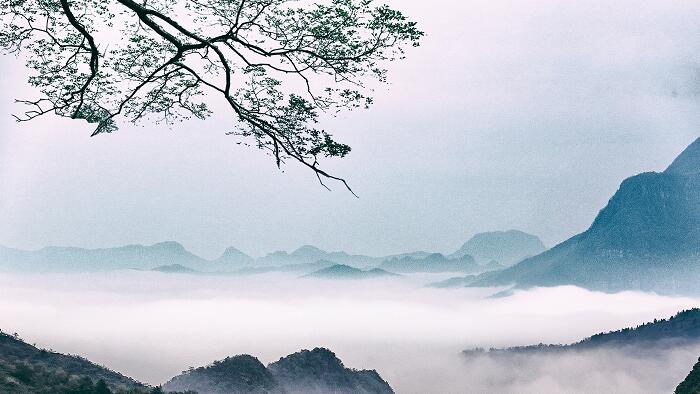 旦携谢山人至愚池赏析