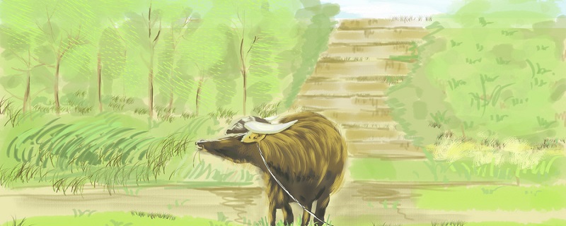 樊重种树文言文翻译