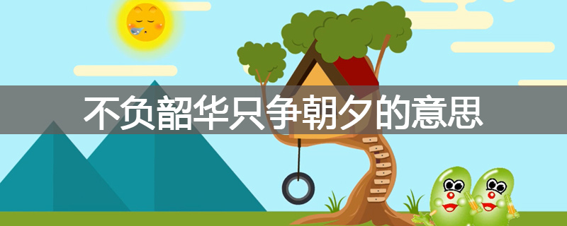 不负韶华只争朝夕的意思