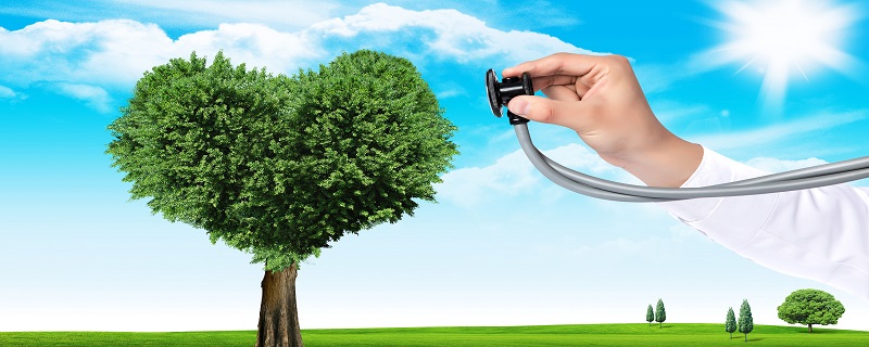 心理咨询师报考条件及费用