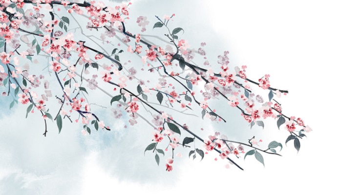 北坡杏花古诗的拼音