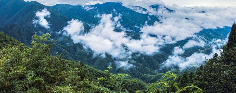 只要肯攀登的上一句