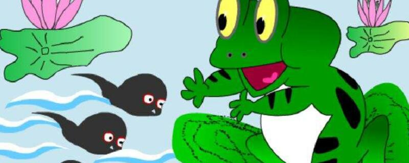 小蝌蚪找妈妈的故事