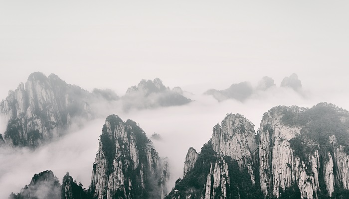 青山处处何须马革裹尸的含义