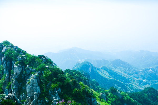 一览众山小出自哪首诗