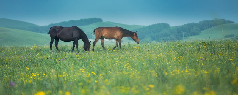 马说中心论点句