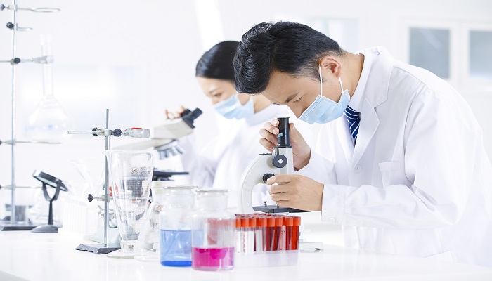 细胞核的作用是什么