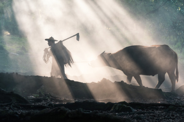 《四时田园杂兴》古诗其一  