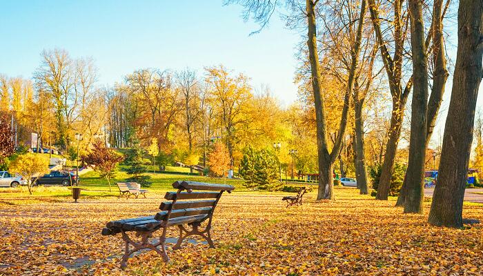 秋天的雨主要讲了什么内容