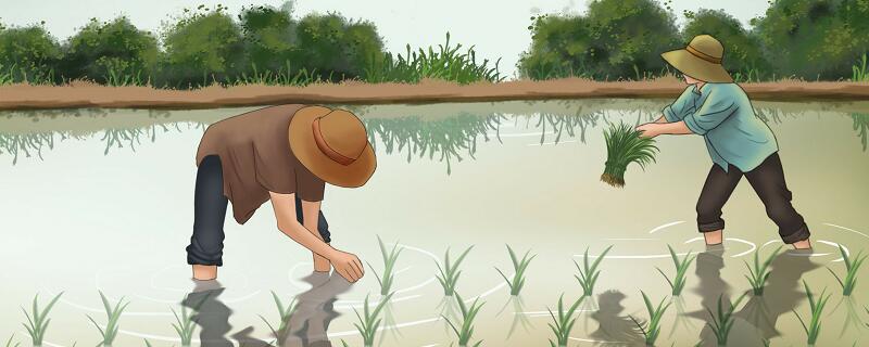 四海无闲田中闲田的意思