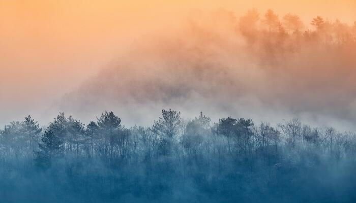 雾的形成是什么物态变化