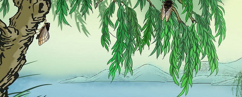 夜深篱落一灯明的诗意