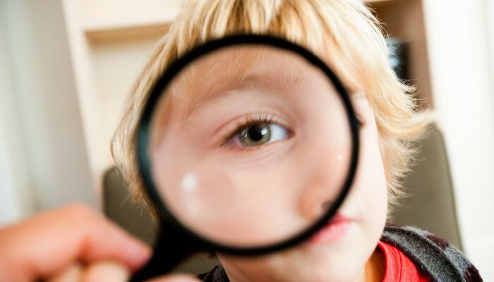 眼的调节能力主要取决于