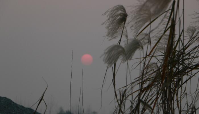 望洞庭所有诗句的意思
