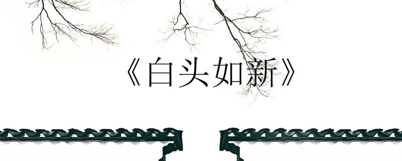 白头如新的主人公