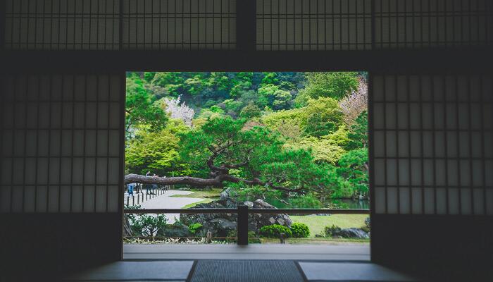题破山寺后禅院翻译