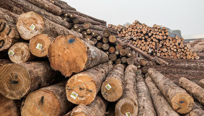 热的良导体有哪些