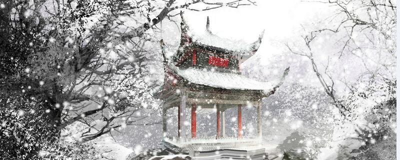 卖炭翁主旨句