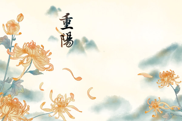 遥怜故乡菊应傍战场开的意思  