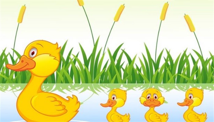 小鸭子在水里游泳怎么形容