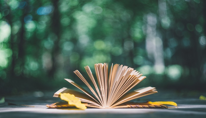 秋晚的江上古诗意思