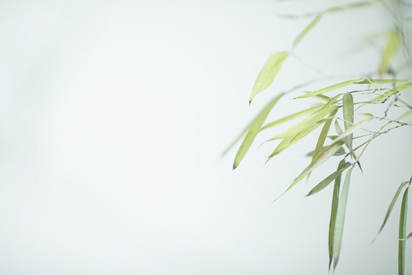 胸有成竹的主人公是谁