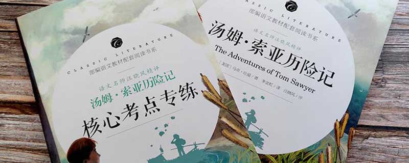 汤姆索亚历险记概括