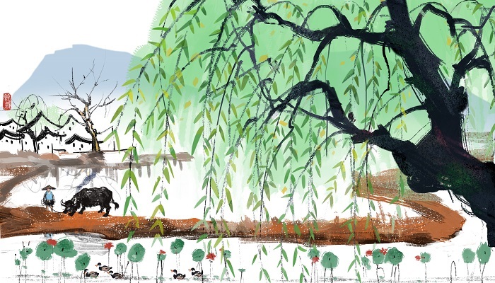 采薇的薇指的是什么