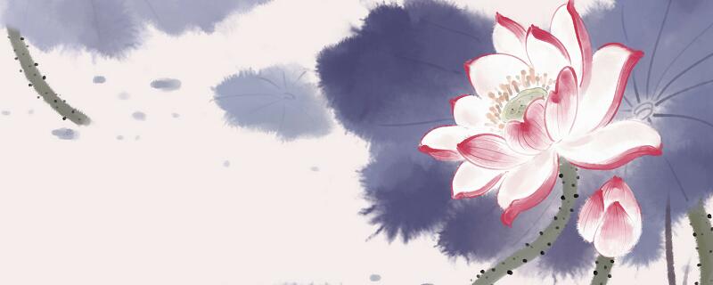 爱莲说中心句和主旨句分别是