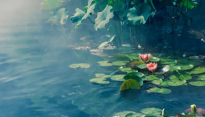 池上二绝的古诗拼音版