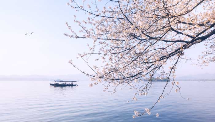 钱塘湖春行中的钱塘湖位于哪里