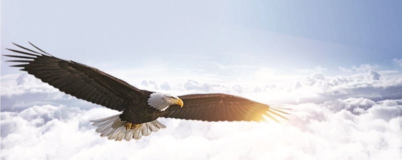 大造化是什么意思