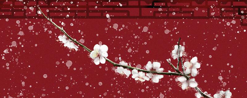 飞雪送春归飞雪迎春到下一句是什么