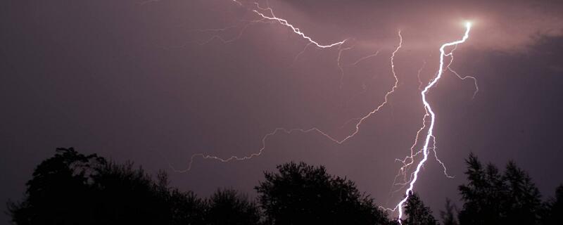 课文雷雨是按照什么顺序写的
