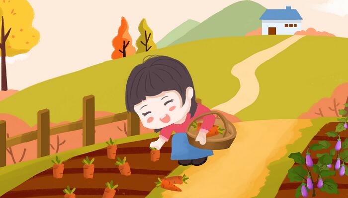 《祖父·后园·我》主要写了什么