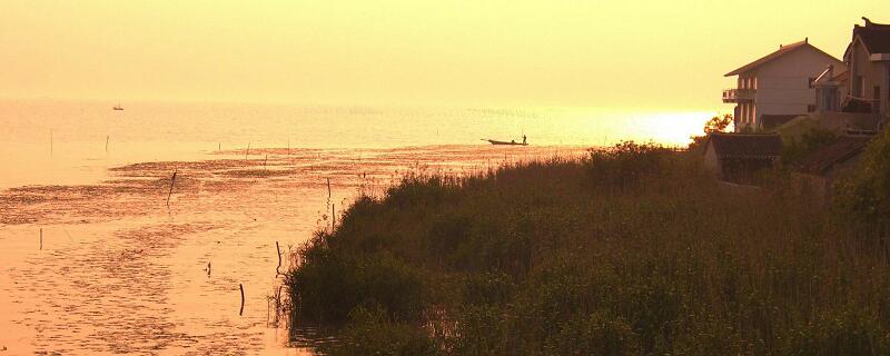 望洞庭所有诗句的意思