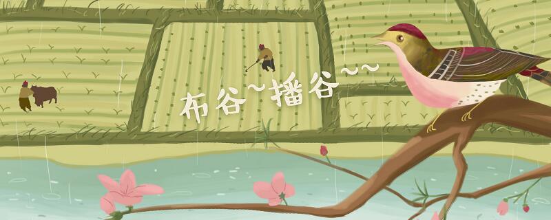 望帝啼鹃的主人公