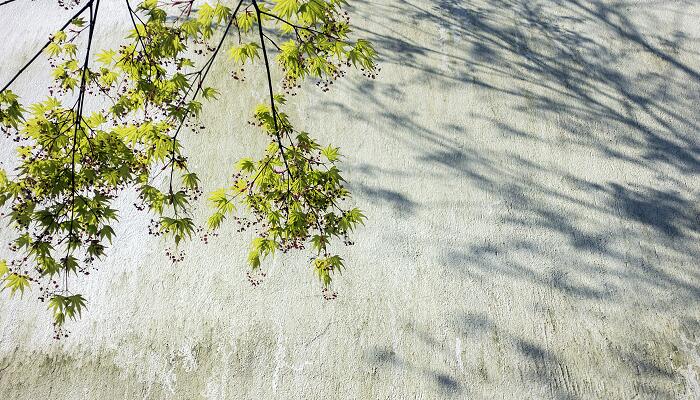 杜甫和李商隐合称为什么